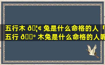 五行木 🦢 兔是什么命格的人「五行 💮 木兔是什么命格的人呢」